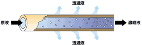 膜システム