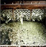 プラスチック処理