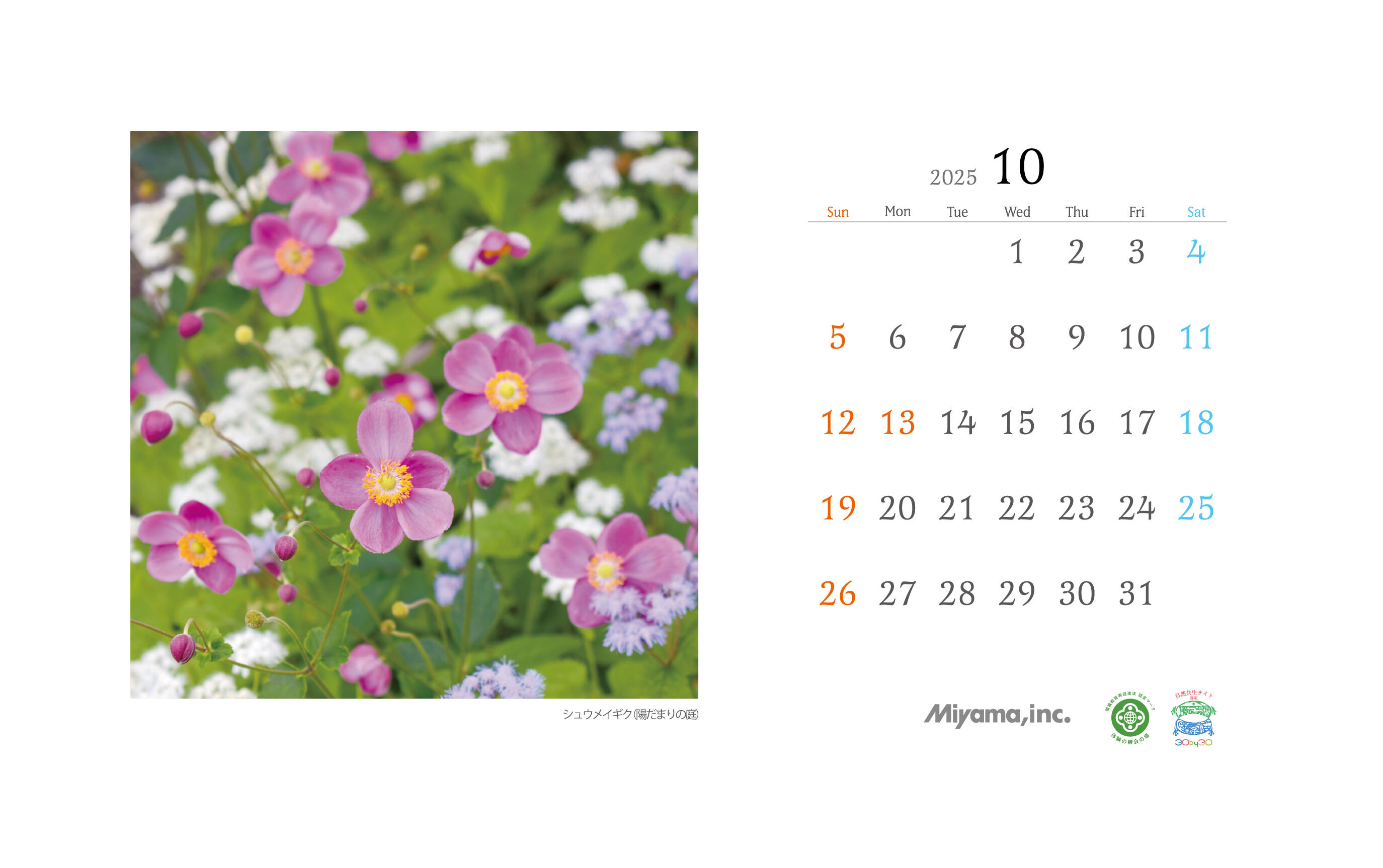 https://www.miyama.net/news/0343c5b059934cd10c62a863b5e1b46011e3699b.jpg