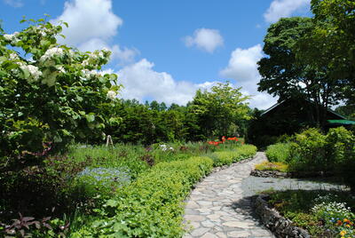 220613garden.JPG