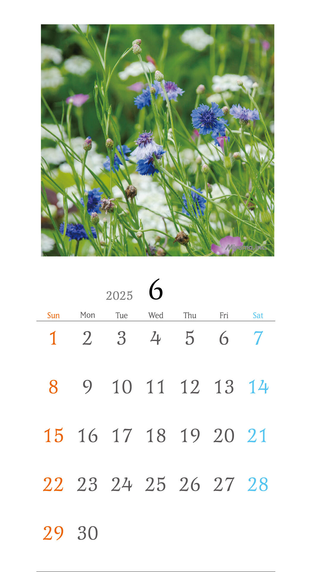 https://www.miyama.net/news/539ec64f40bef009ced980bf623d09809c6a5ef3.jpg