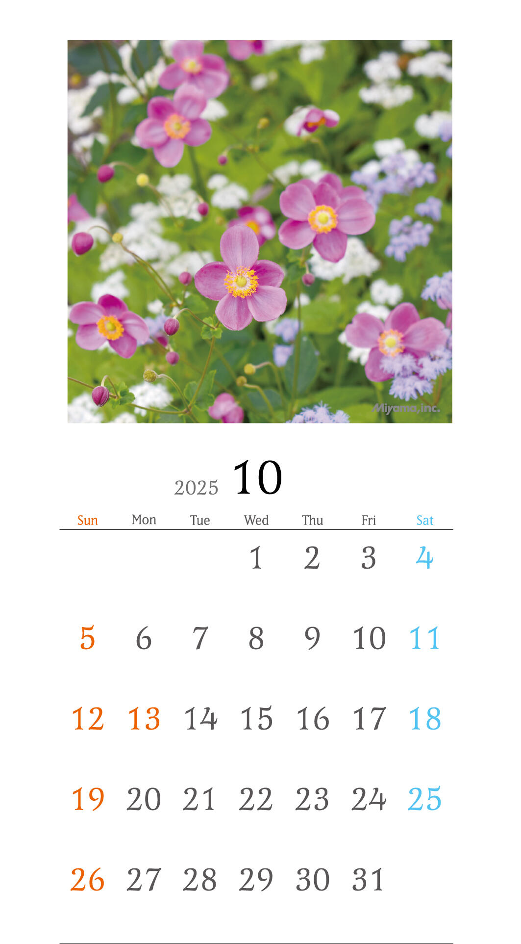 https://www.miyama.net/news/d791ebd01905312e78eeecd8a8a5808994e67ddb.jpg