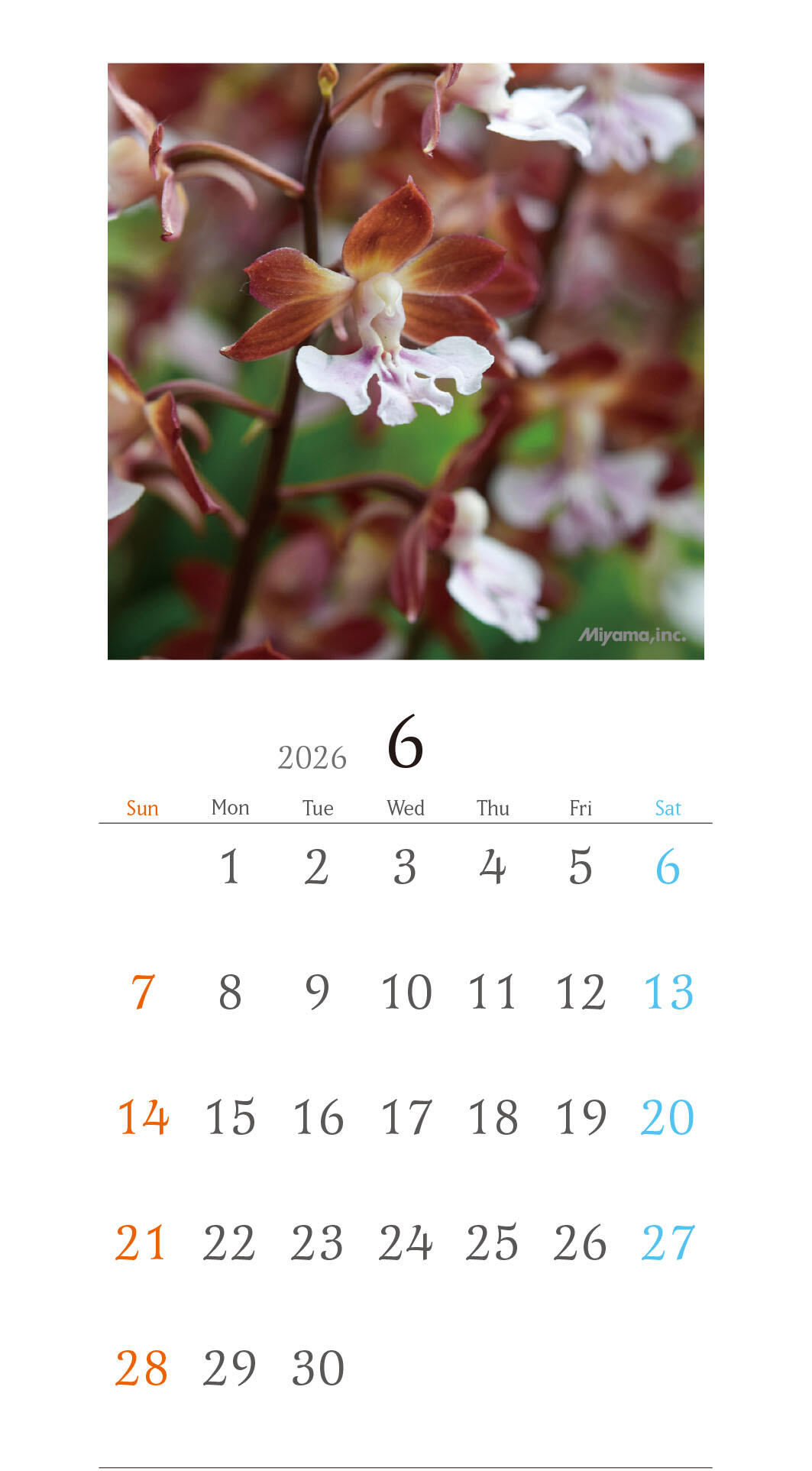 https://www.miyama.net/news/phone-6.jpg
